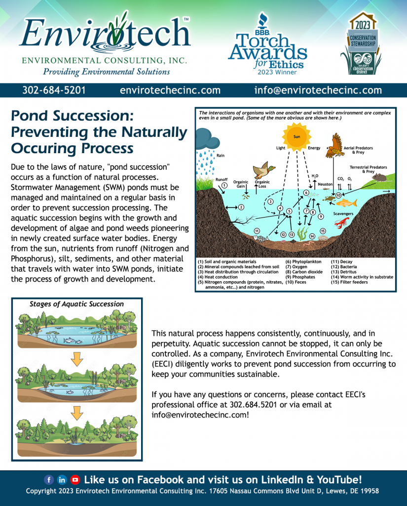 Envirotech Pond Succession